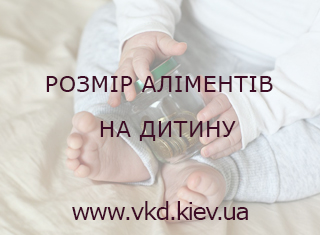 vkd.kiev.ua - Розмір аліментів на дитину